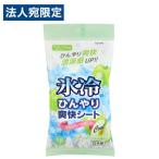 協和紙工 氷冷 ひんやり爽快シート グリーンアップルの香り 18枚入 ボディケア 汗 制汗 シート さっぱり サラサラ