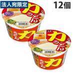 大黒食品 力うどん 100g×12個