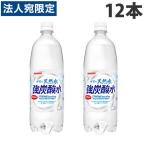炭酸水 1L 伊賀の天然