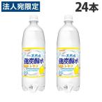 サンガリア 伊賀の天�