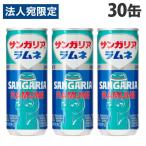 ラムネ 250g 30缶 サンガ
