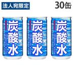 炭酸水 185ml 30缶 サン