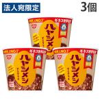 ハヤシメシ デミグラス 86g 3個 日清食品