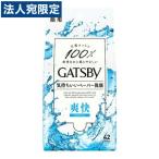 Yahoo! Yahoo!ショッピング(ヤフー ショッピング)ギャツビー フェイシャルペーパー （徳用タイプ） 42枚