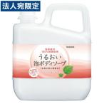 サラヤ うるおい泡 ボディソープ 5L