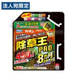 フマキラー 除草王 シャワーS エコパウチ 4.5L