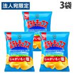 ポテトチップス 湖池屋 じゃがいもと塩 55g 3袋
