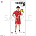 【期間限定受注生産】 ミニタペス