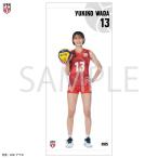 【期間限定受注生産】 ミニタペストリー 2025バレーボール女子日本代表　〈和田由紀子 選手〉