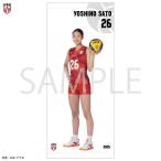 【期間限定受注生産】 ミニタペス