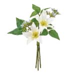  Tokyo .(Tokyodo) MAGIQa-tifi автомобиль ru цветок Celine клематис букет #1 CR/WH FM001224