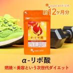 α-リポ酸 （約12ヶ月分） 美容 サプリ ダイエット コエンザイム Q10 サプリメント アルファ リポ酸 燃焼系 スポーツ トレーニング