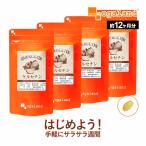 ケルセチン （約12ヶ月分） 亜麻仁油 サプリ サプリメント ポリフェノール ビタミン たまねぎ 外皮 オメガ3 リノレン酸 必須脂肪酸