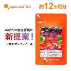 ショッピングトマト レスベラトロール ＆ トマトリコピン （約12ヶ月分）トマト リコピン サプリ ダイエット ポリフェノール サプリメント 健康習慣 美容 ポイント利用