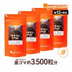 セサミンカプセル （約12ヶ月分） 濃縮 ごま サプリ サプリメント セサミン ゴマ 胡麻 ゴマ油 エイジングケア 男性 女性 の 元気 や 若々しさ 健康 美容  一年分