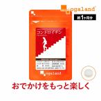 賞味期限2022年12月末まで コンドロイチン （約1ヶ月分） サプリ サプリメント ビタミンB ムコ多糖 スポーツ グルコサミン ヒアルロン酸 コラーゲン