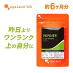 WINNER глутамин (6 шт. комплект *900 Capsule ) supplement дополнение тренировка спорт .. аминокислота L- глутамин бесплатная доставка HMB BCAA EAA