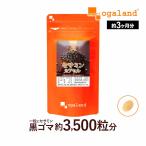 セサミンカプセル （約3ヶ月分） 賞味期限最短2025年3月末まで サプリメント 胡麻 サプリ 濃縮 セサミン ゴマ ごま油 エイジングケア 男性 女性 の 元気