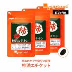 柿渋カテキン (約3ヶ月分) サプリ サプリメント カテキン シャンプー や 石鹸 で有名な 柿渋 エチケット タンニン 食後 フラクトオリゴ糖 ポイント利用