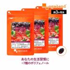 ショッピングトマト レスベラトロール ＆ トマトリコピン （約3ヶ月分） 賞味期限最短2025年3月末まで リコピン サプリ ポリフェノール サプリメント 健康 ダイエット 美容 カテキン