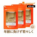 冬虫夏草 （約3ヶ月分） 賞味期限最短2025年3月末まで エイジングケア 健康 サプリメント サプリ ビタミン ミネラル アミノ酸 ダイエット 生活習慣 健康食品