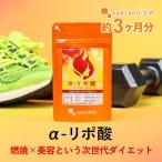 ショッピングダイエット α-リポ酸 （約3ヶ月分）サプリメント 燃焼系 ダイエット サプリ アルファリポ酸 コエンザイムQ10 ビタミン 補酵素 トレーニング 美容 健康 初心者 おすすめ