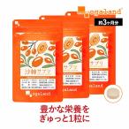 沙棘サプリ (約3ヶ月分) サプリメント サジー サプリ 不飽和脂肪酸 ビタミンC 酵素 処理 ヘスペリジン ナイアシン アミノ酸 ミネラル ダイエット ポイント利用