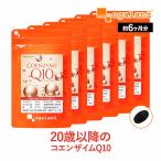 コエンザイムQ10 (約6ヶ月分)賞味期限2025年12月末まで サプリメント サプリ コエンザイム 補酵素 燃焼系 ダイエット 美容 ユビキノン ポイント利用