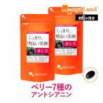 カシスパウダーよりも手軽に カシス サプリ 約6ヶ月分 アントシアニン ブルーベリー 美容 サプリメント ポイント利用