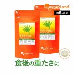 キダチアロエ粒（約6ヶ月分）美容 