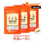 非変性II型コラーゲン(約3ヶ月分)新商品 コラーゲン 快適 鶏軟骨 コラーゲン ペプチド サプリメント さぷり 健康 美容 ダイエット おすすめ ポイント利用
