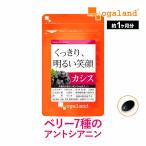 カシス （約1ヶ月分） サプリ アントシアニン ブルーベリー ポリフェノール クランベリー サプリメント カシスパウダー より手軽に オレイン酸 リノレン酸 美容