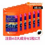 ブルーベリープレミアム(約6ヶ月分)新商品 サプリ アントシアニン ルテイン アスタキサンチン カシス ビタミンB ビルベリー βカロテン ポイント利用