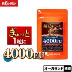 ナットウキナーゼ プレミアム 4000FU (約6ヶ月分) 納豆キナーゼ サプリ サプリメント プリン体無し 酵素 納豆が苦手嫌いな方に コレステロール ポイント利用