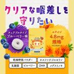 ルテイン ジュニア（約1ヶ月分） 賞味期限2026年3月まで ルテイン サプリ こども用 お菓子感覚 ブルーベリー味 DHA 乳酸菌末 60粒 ポイント利用 爆買