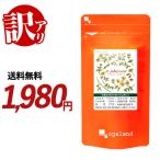 訳あり セントジョーンズワート （約3ヶ月分） 賞味期限最短2024年9月末まで サプリ サプリメント ギャバ テアニン グリシン トリプトファン カモミール