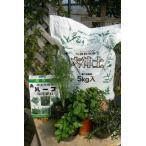 ハーブ栽培セット　キッチンハーブ4種