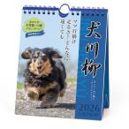 ショッピング卓上カレンダー 2026年  ダックス犬川柳 （週めくり）卓上  カレンダー スケジュール いぬ APJ  25CL/024