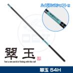 (OGK). шар (.....) 54H карбид (SG54H)