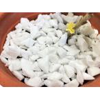  мульти- ng материал белый 1L 3mm~15mm человеческий труд пемза земля ..