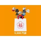 福袋 ポイント消化 送料無料 レディースキャップ メンズ キャップ 飛ばない帽子 お得 帽子 サイズ 悩み