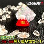 ショッピングanan 龍神のすず〓 《anan掲載！おはなもあな限定》盛り塩 金箔入り赤富士　お守り セット ヒマラヤ水晶 セット 1年 交換不要 子宝祈願 安産祈願 浄化