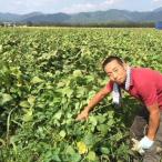 令和元年産丹波黒大豆枝豆(篠山ふたば農園)さやのみ1kg【丹波篠山市認定販売店】