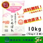 5年産 お米 米 ひとめぼれ 10kg 小分け 白米 安い 美味い 福島県産 送料無料 福島県中通り産ひとめぼれ10kg