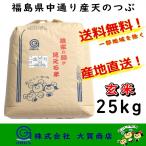 玄米 7年産 お米 米 天のつぶ ブランド米 25kg 安い 美味い 送料無料 福島県中通り産天のつぶ25kg 玄米