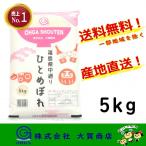 6年産 お米 米 ひとめぼれ 5kg 小分け 白米 安い 美味い 福島県産 送料無料 福島県中通り産ひとめぼれ5kg