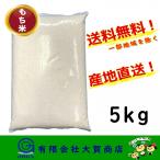 米 お米 白米 小分け 5kg もち米 精米 送料無料 もち米5kg