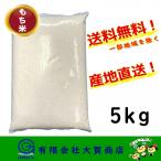 6年産 米 お米 こがねもち 白米 小分け 5kg もち米 精米 送料無料 もち米5kg
