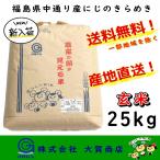 ショッピングお米 玄米 米 お米 5年産 にじのきらめき 25kg 安い 美味い 送料無料 福島県中通り産にじのきらめき25kg玄米