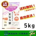 米 お米 3年産 ブランド米 5kg 小分け 白米 安い 美味い福島県産 送料無料  天女の泉5kg